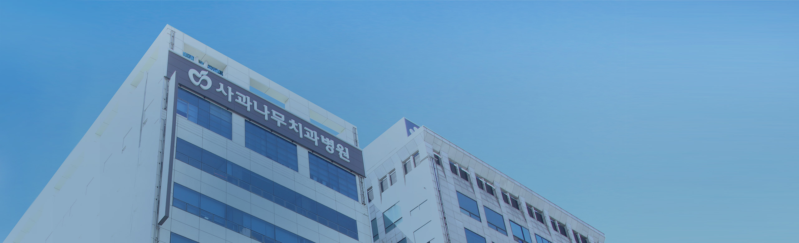 부천 사과나무치과병원 건물